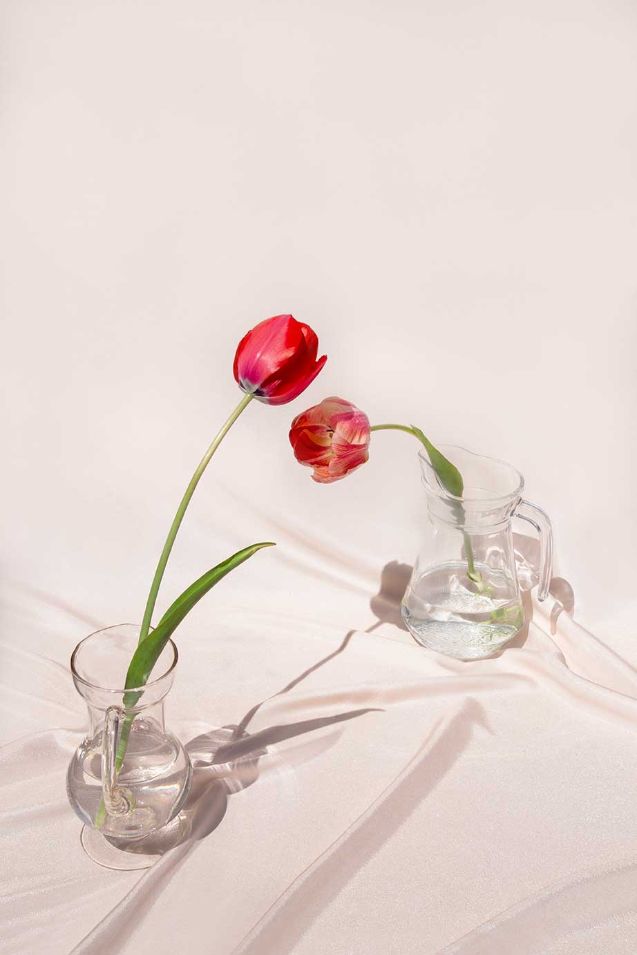 kate-ili-flower-still-life-2