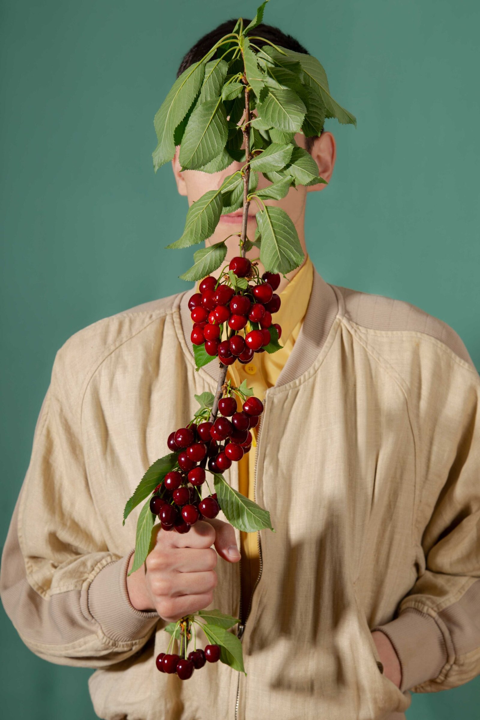Katarina-Iliskovic-Cherry-Bouquet-Branch-2