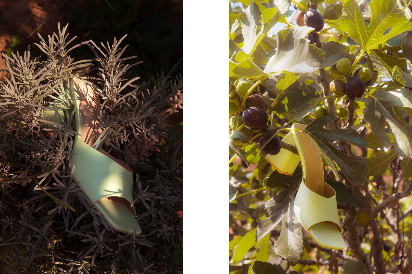 Shoes-in-nature