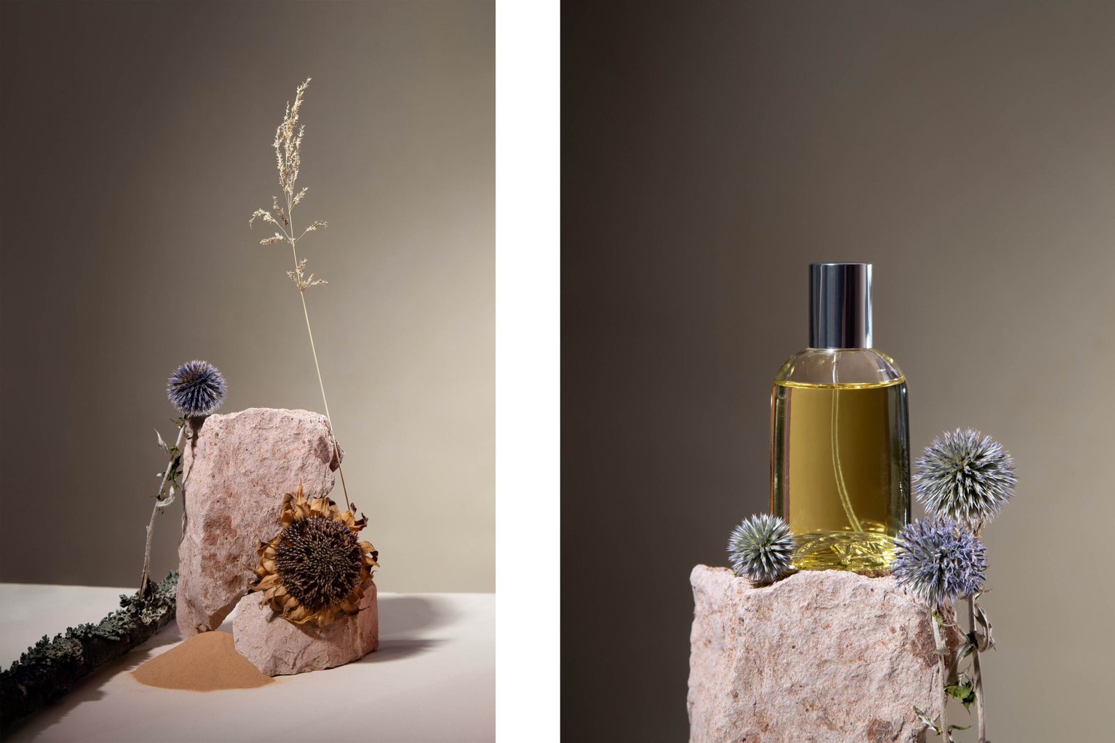 dried-flowers-and-perfume-kate-ili