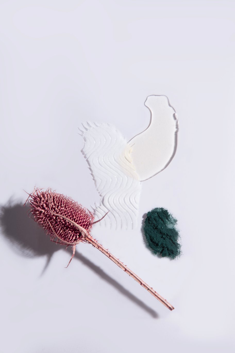 Dried flowers – Kate Ili 2